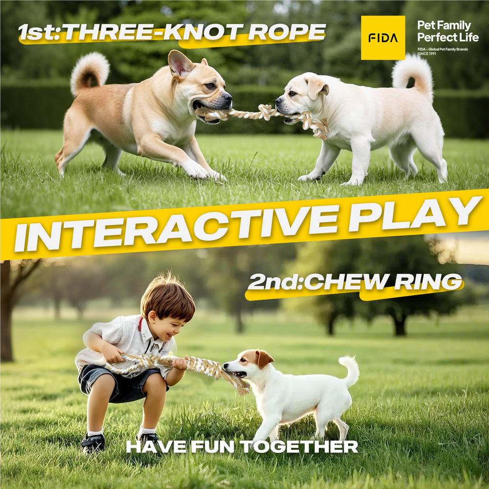 Fida rope tug toy for interactive play and bonding.