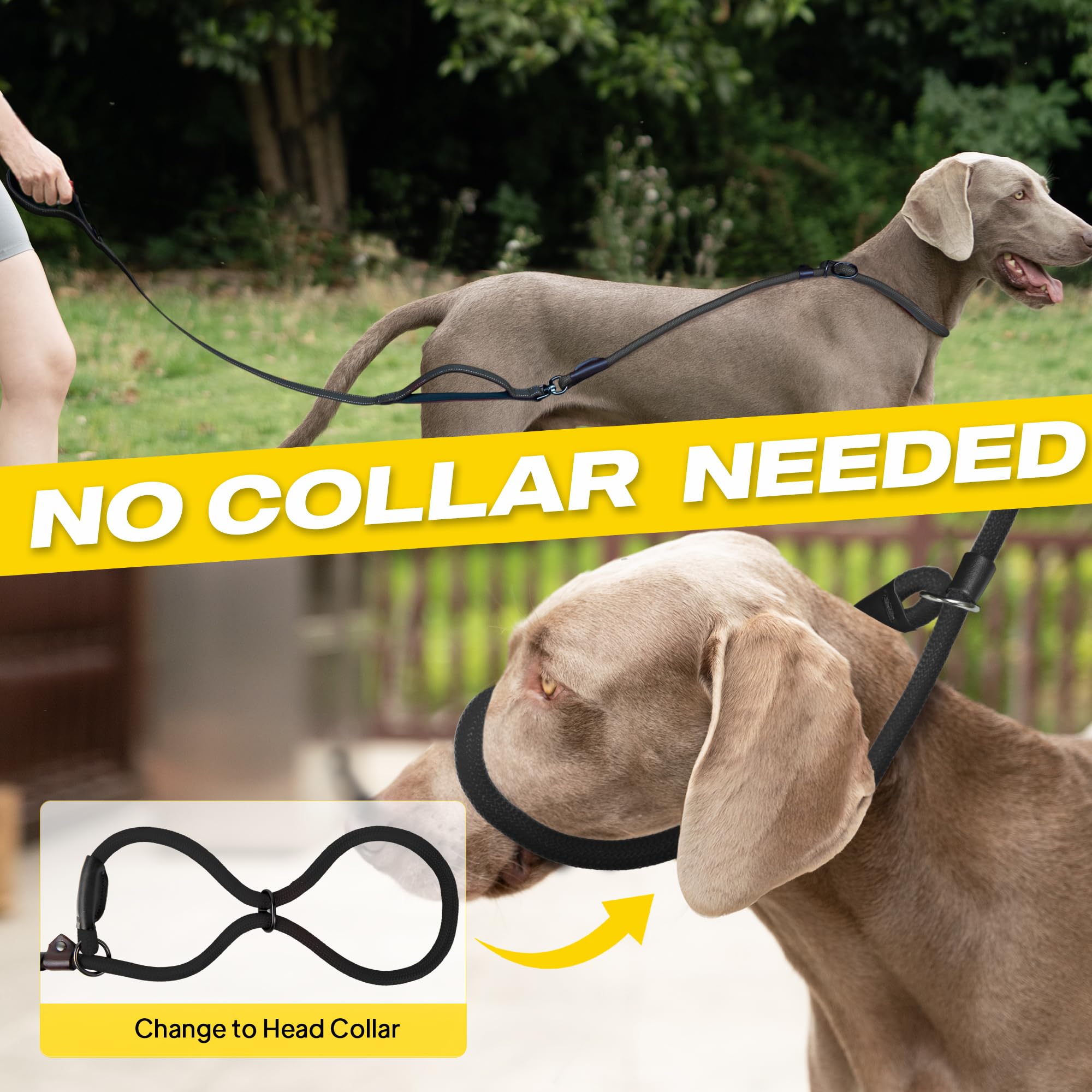 Fida dual soft padded handles provide comfortable control in crowds.