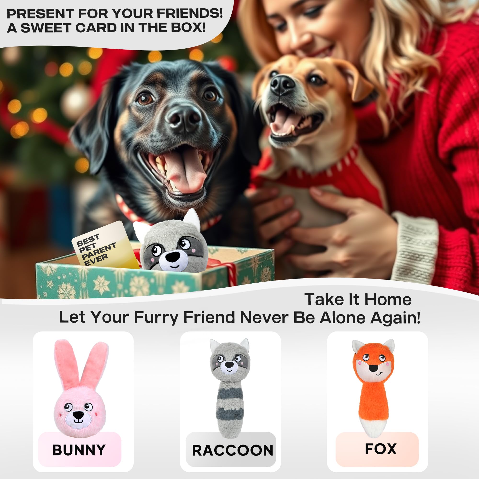 Fida enrichment card included makes this a thoughtful dog toy gift