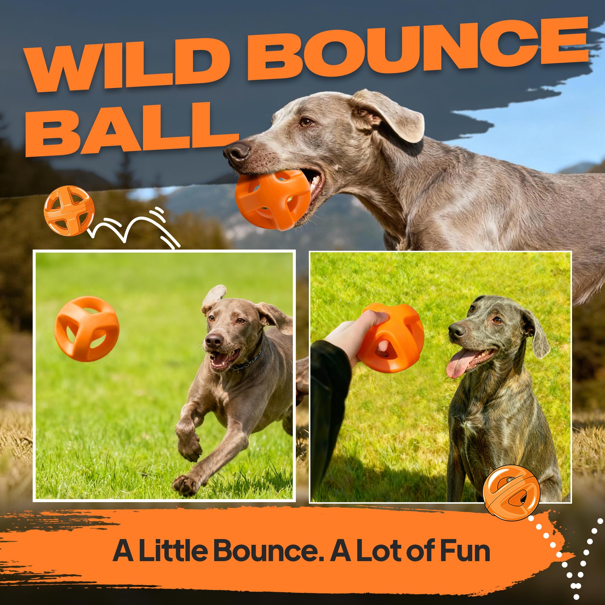 Fida fetch-and-bounce toy keeps large dogs mentally engaged.