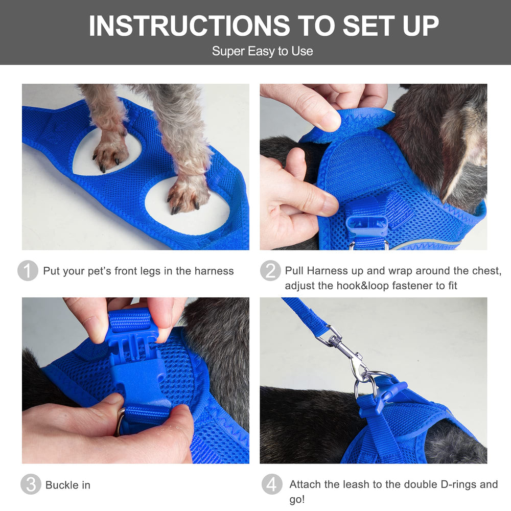 Fida set includes step-in harness and 4 ft leash for easy use.