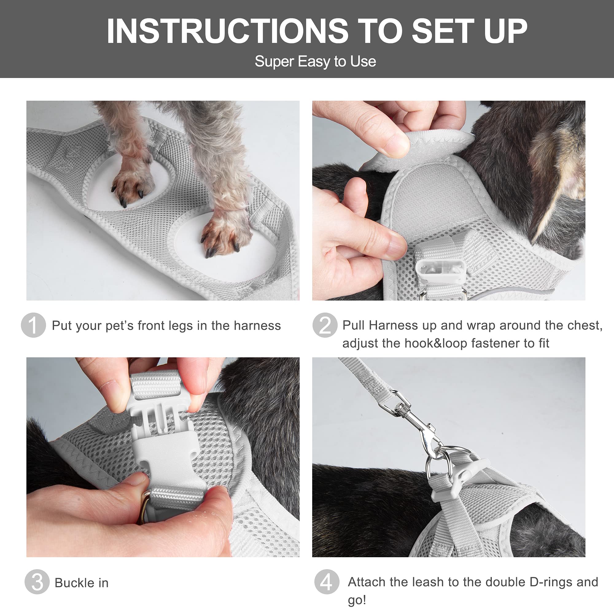 Fida lightweight, durable harness ideal for kittens and puppies