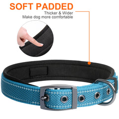 Fida heavy-duty dog collar with a sizing guide to ensure a proper fit.