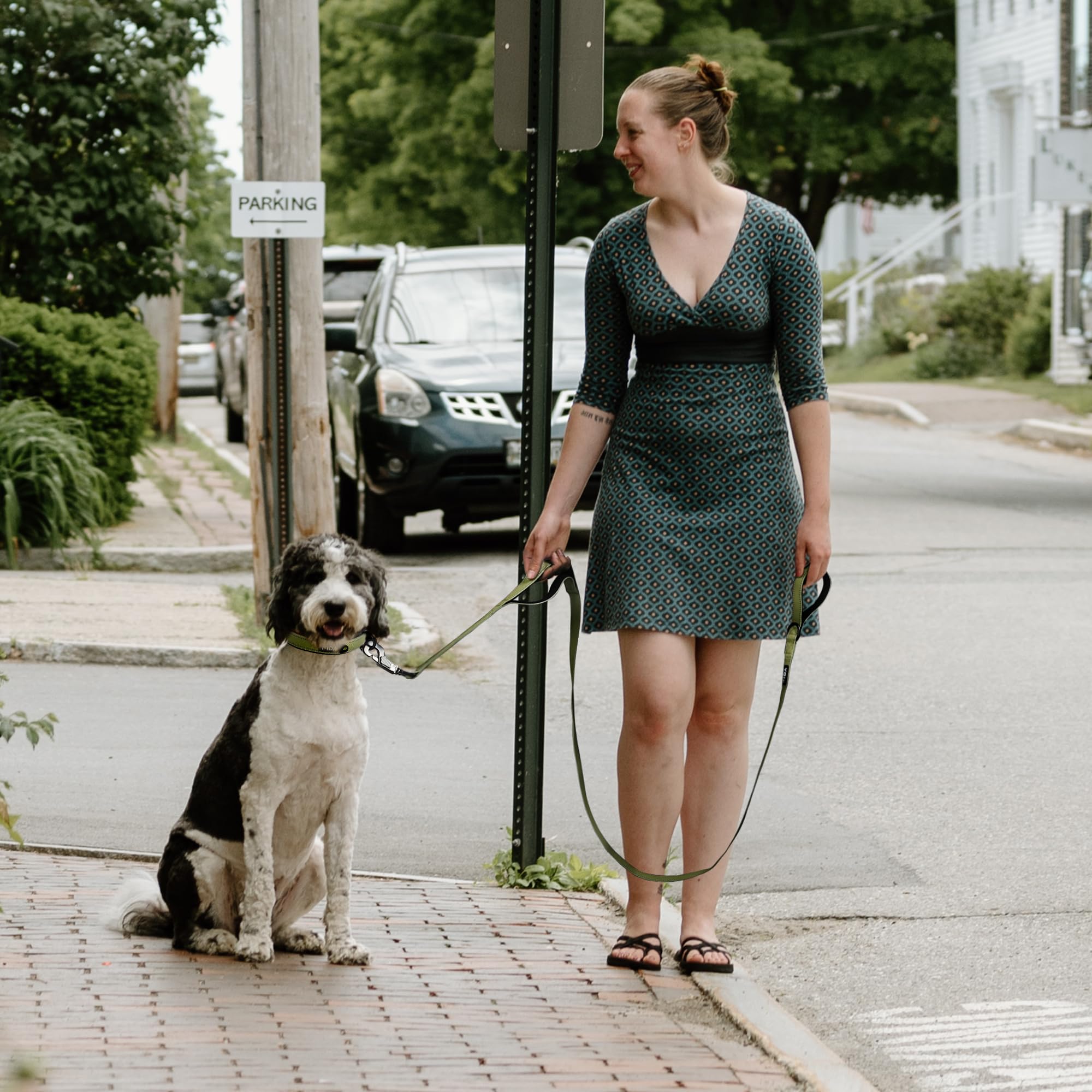Fida 4 ft leash combines durability and safety for daily use.