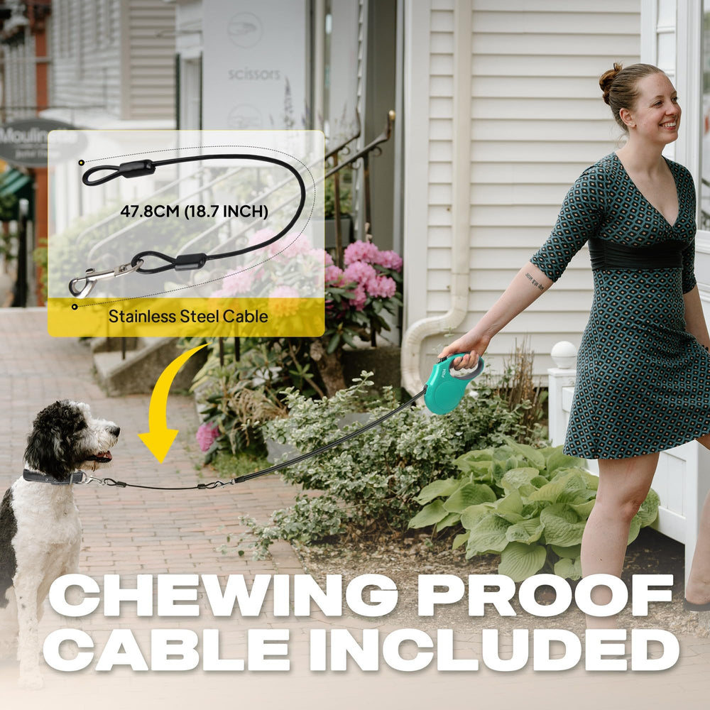 Fida heavy-duty leash with rustproof swivel hook for daily walks.