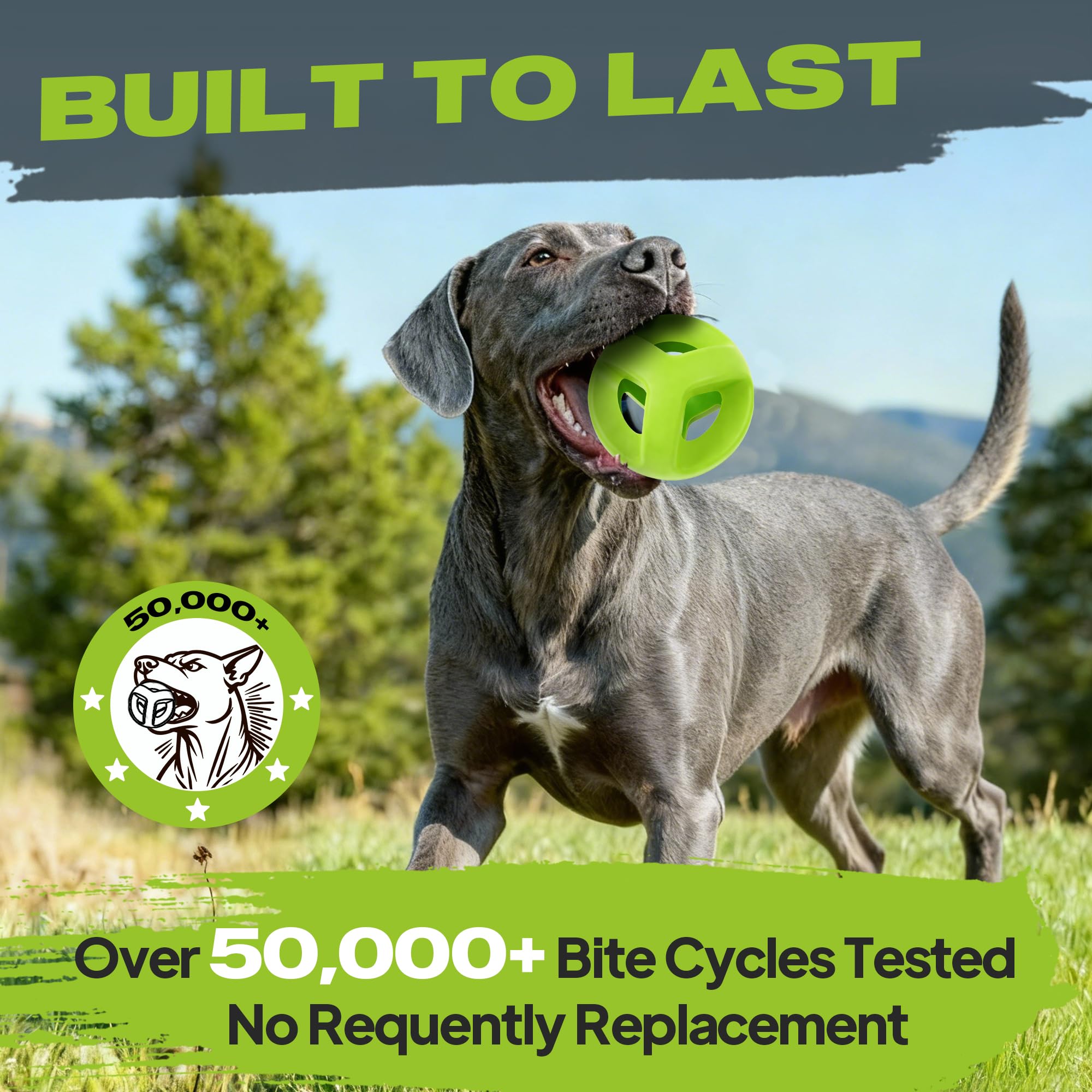 Fida interactive tug and fetch toy supports bonding during play