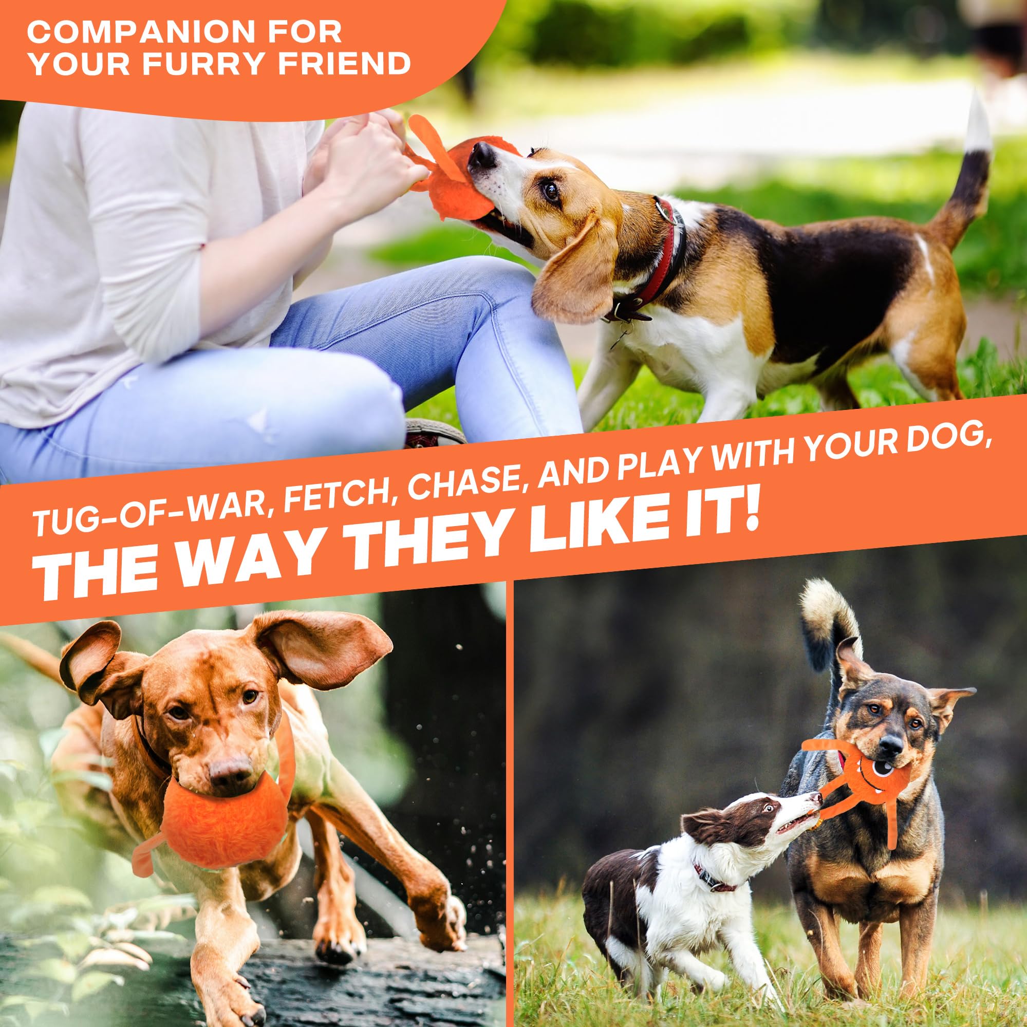Fida interactive tug-and-fetch toy for indoor and outdoor fun.
