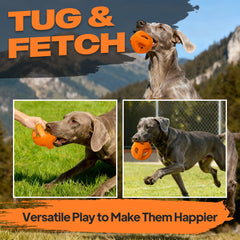 Fida large-breed toy weighs 14oz for substantial chew sessions.