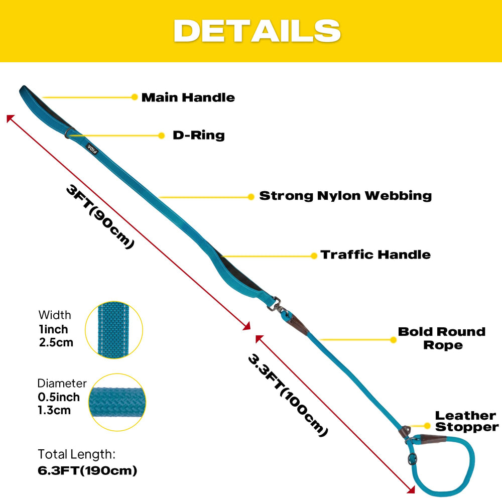 Fida 6-foot leash ideal for large and medium dogs outdoors.