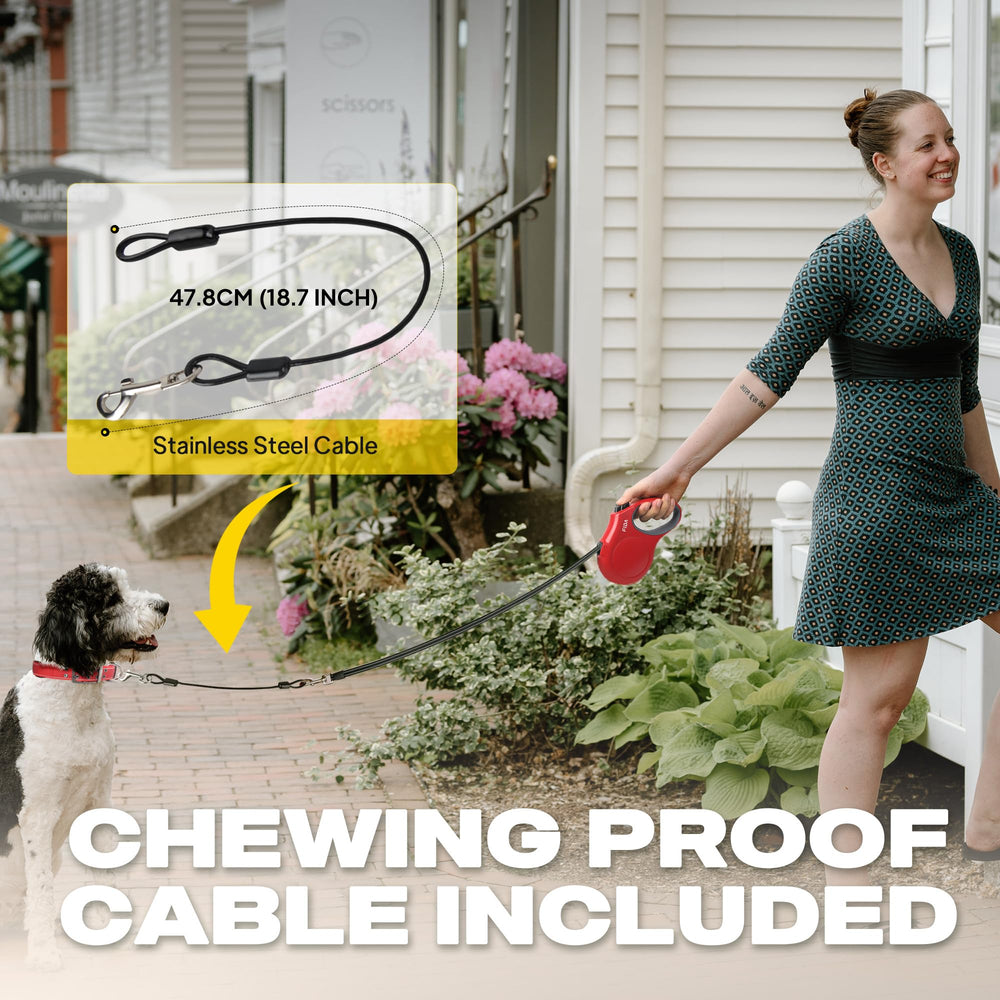Fida leash demonstrates 360-degree tangle-free movement during use