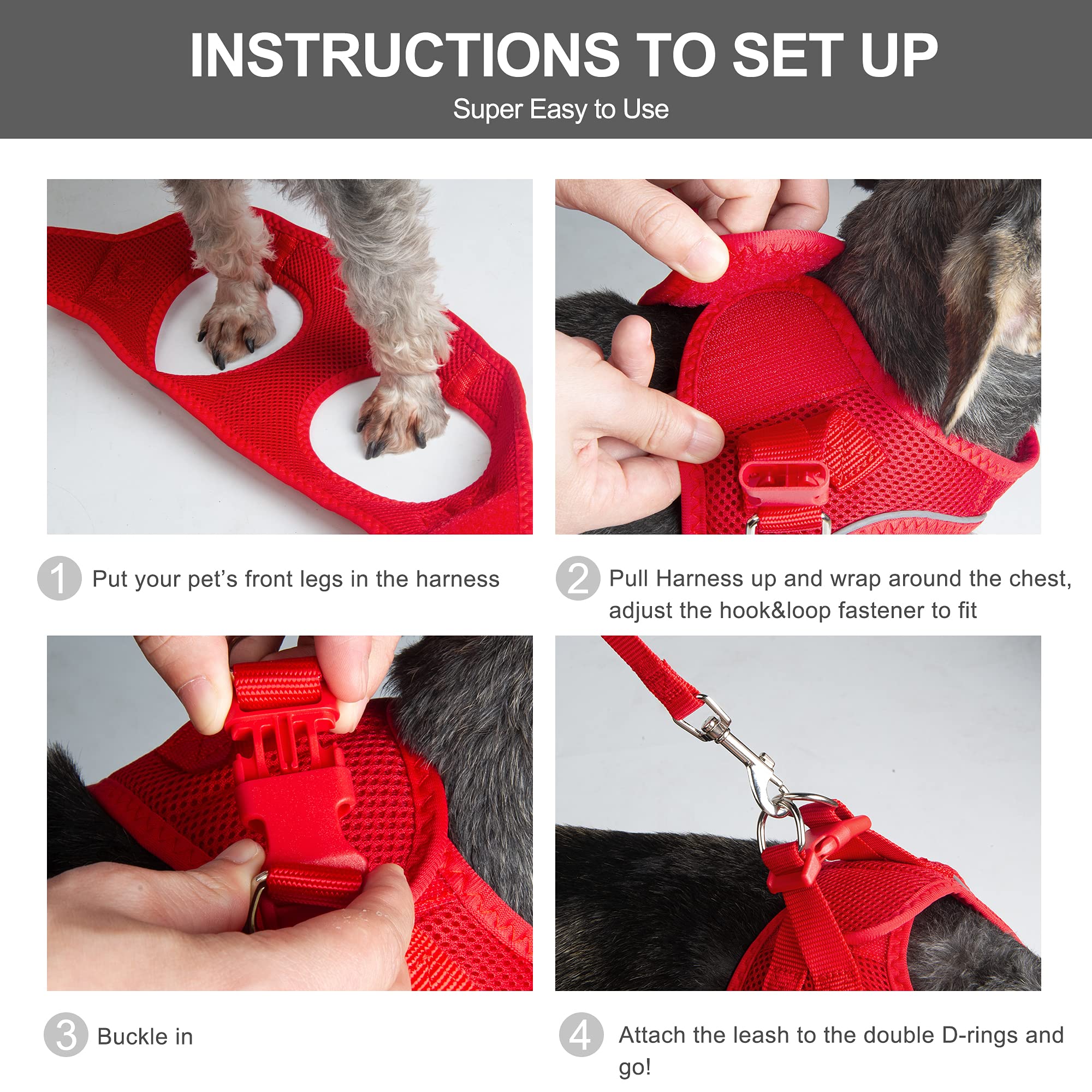 Fida 4 ft leash included for secure controlled training and strolls