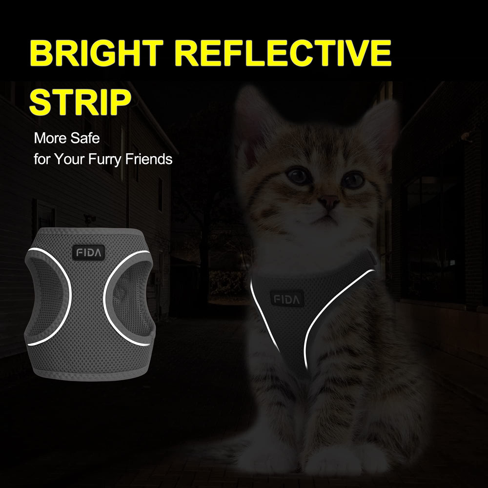 Fida 4 ft leash included for everyday strolls