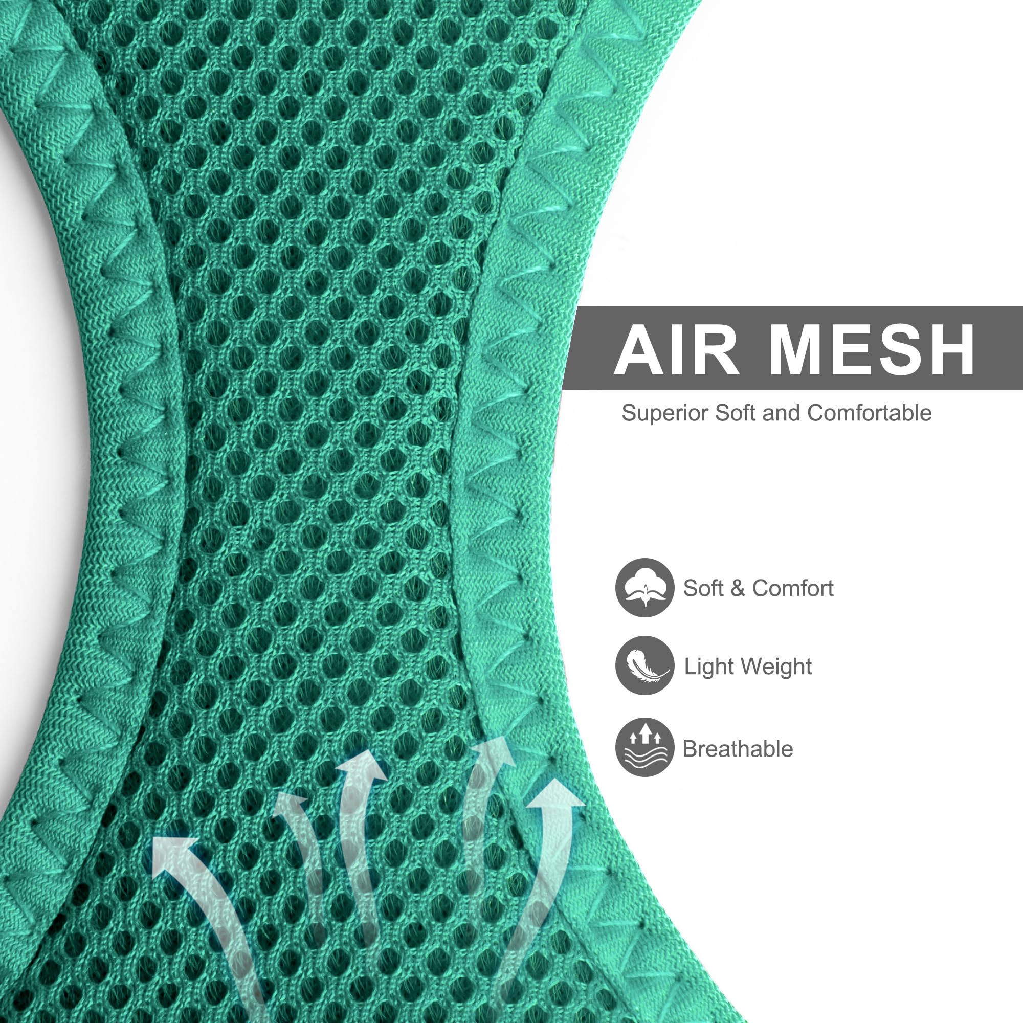 Fida leash in green attached to harness for safe, controlled exploration.