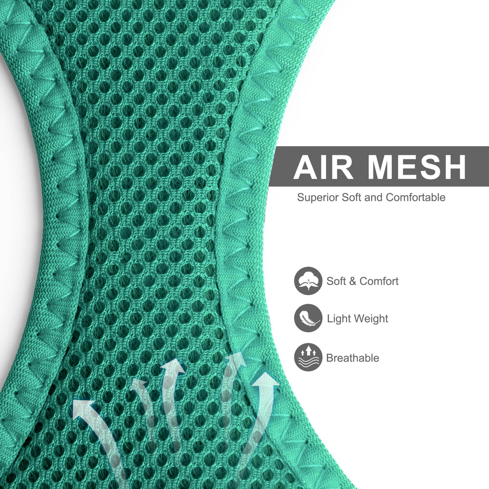 Fida leash in green attached to harness for safe, controlled exploration.