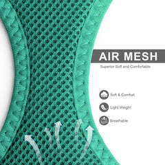 Fida leash in green attached to harness for safe, controlled exploration.