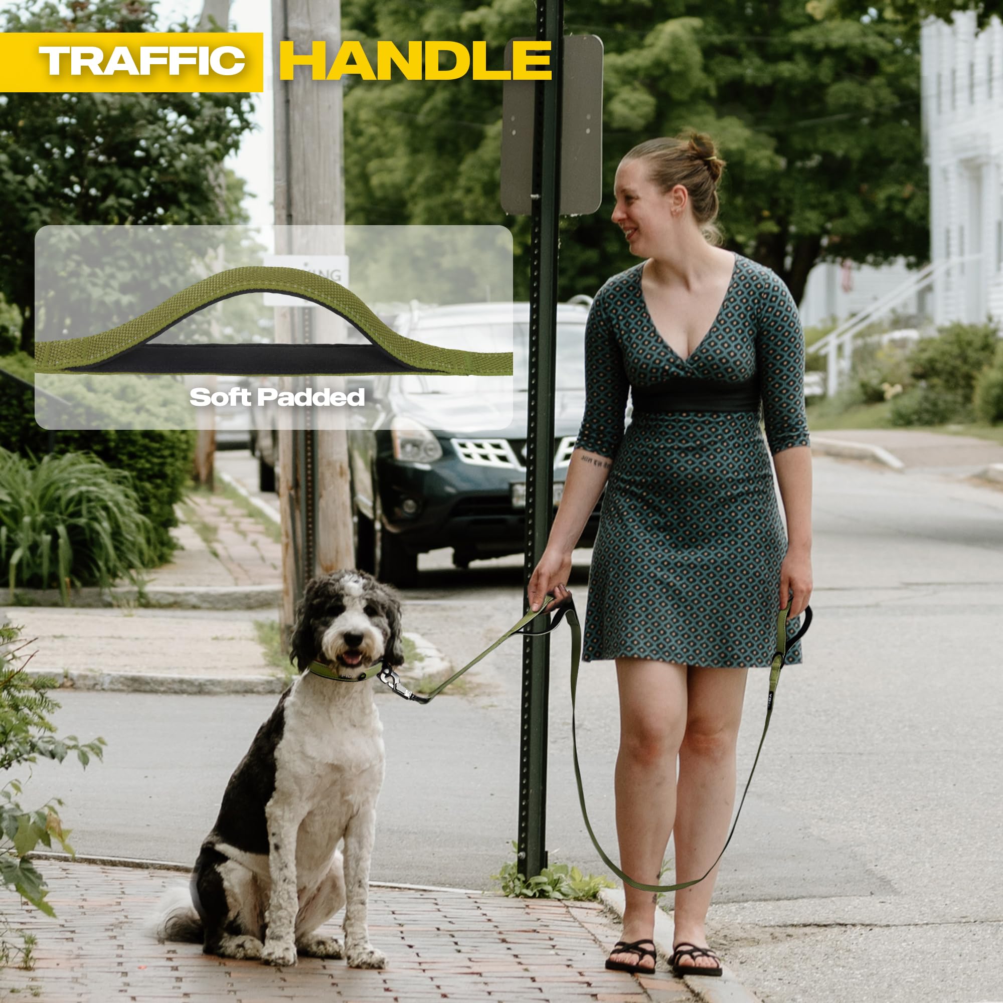 Fida leash with reflective stitching for night visibility.