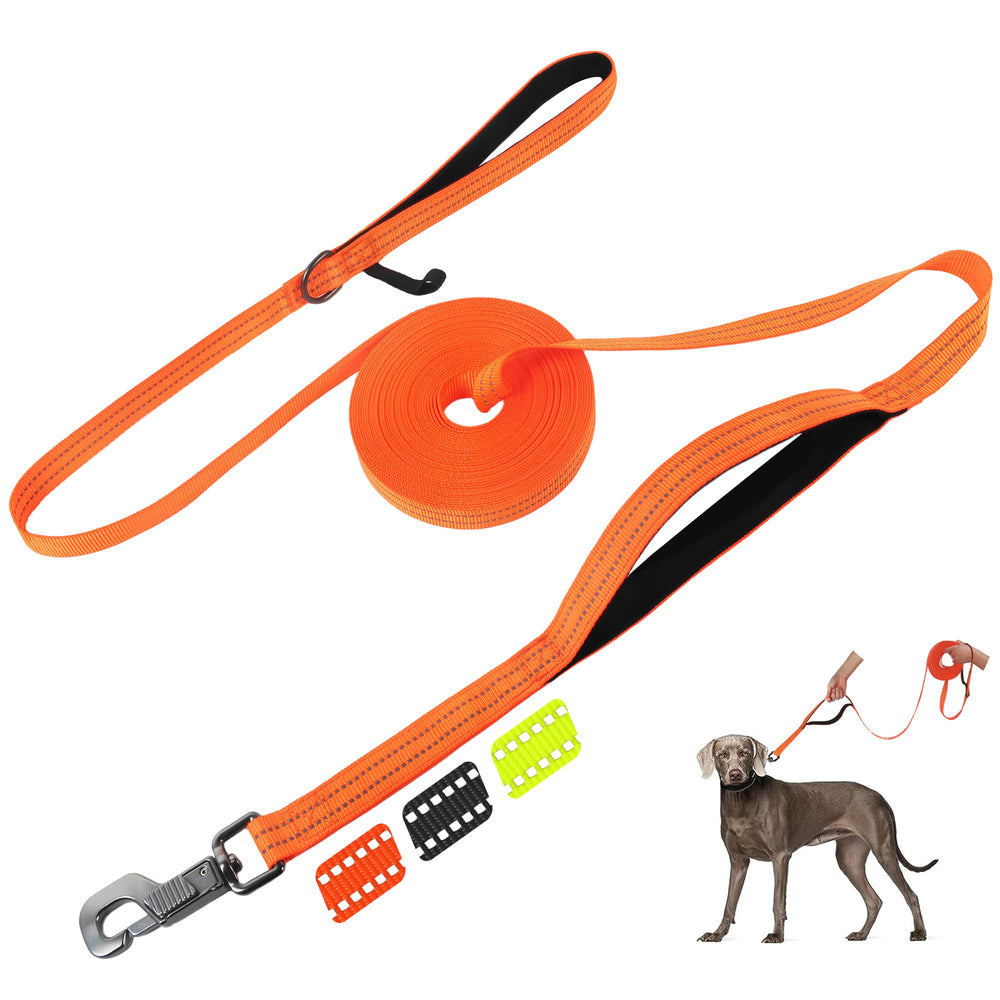 Fida long leash with traffic handle for quick, secure control during busy street walks.