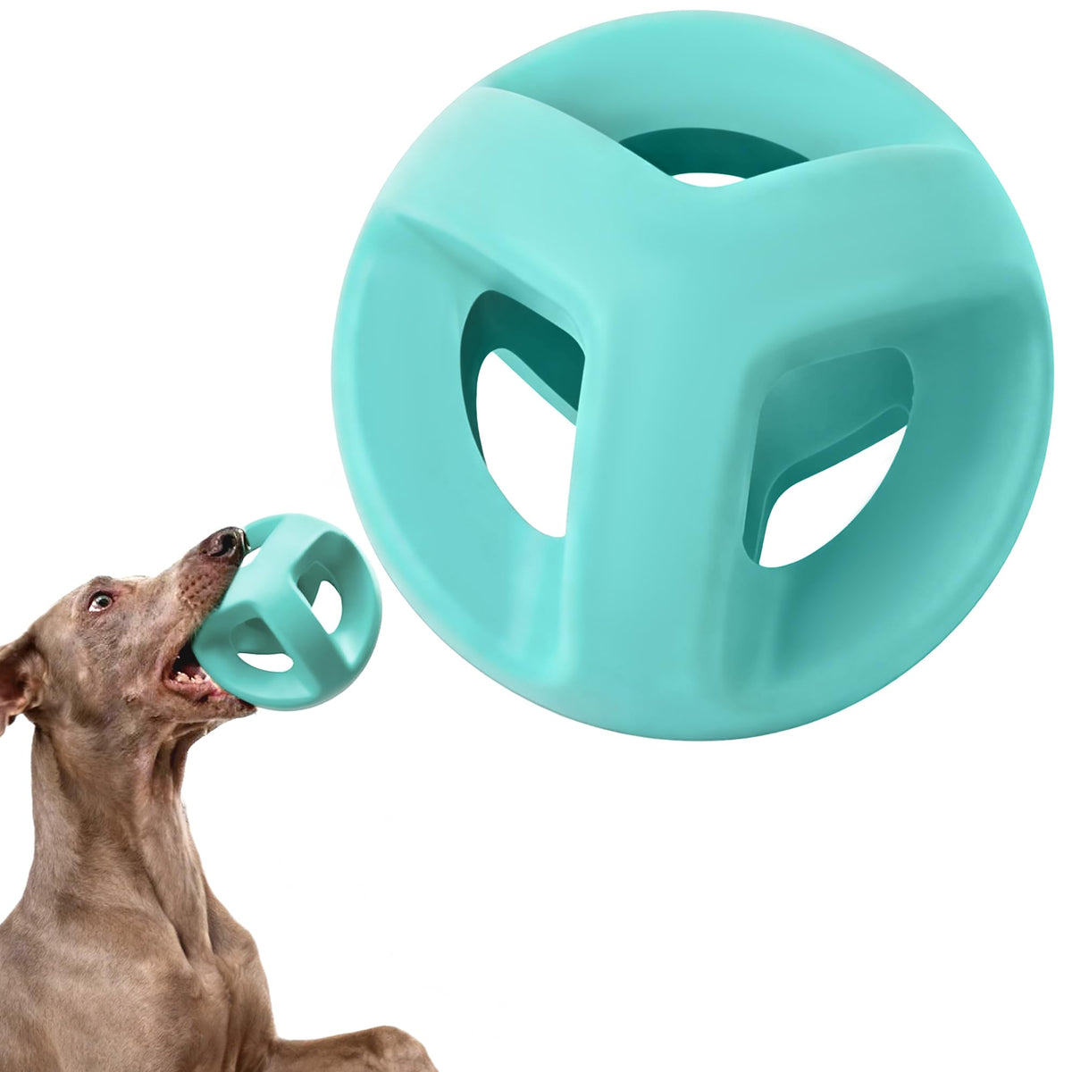 Fida natural rubber dog ball front view shows durable ring design for big dogs