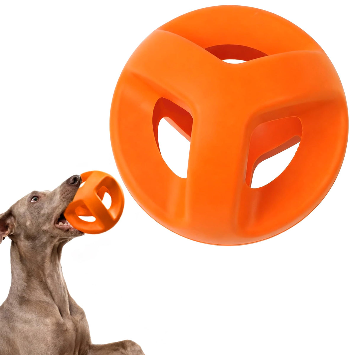 Fida natural rubber ball with ring design, ideal for fetch and bounce.