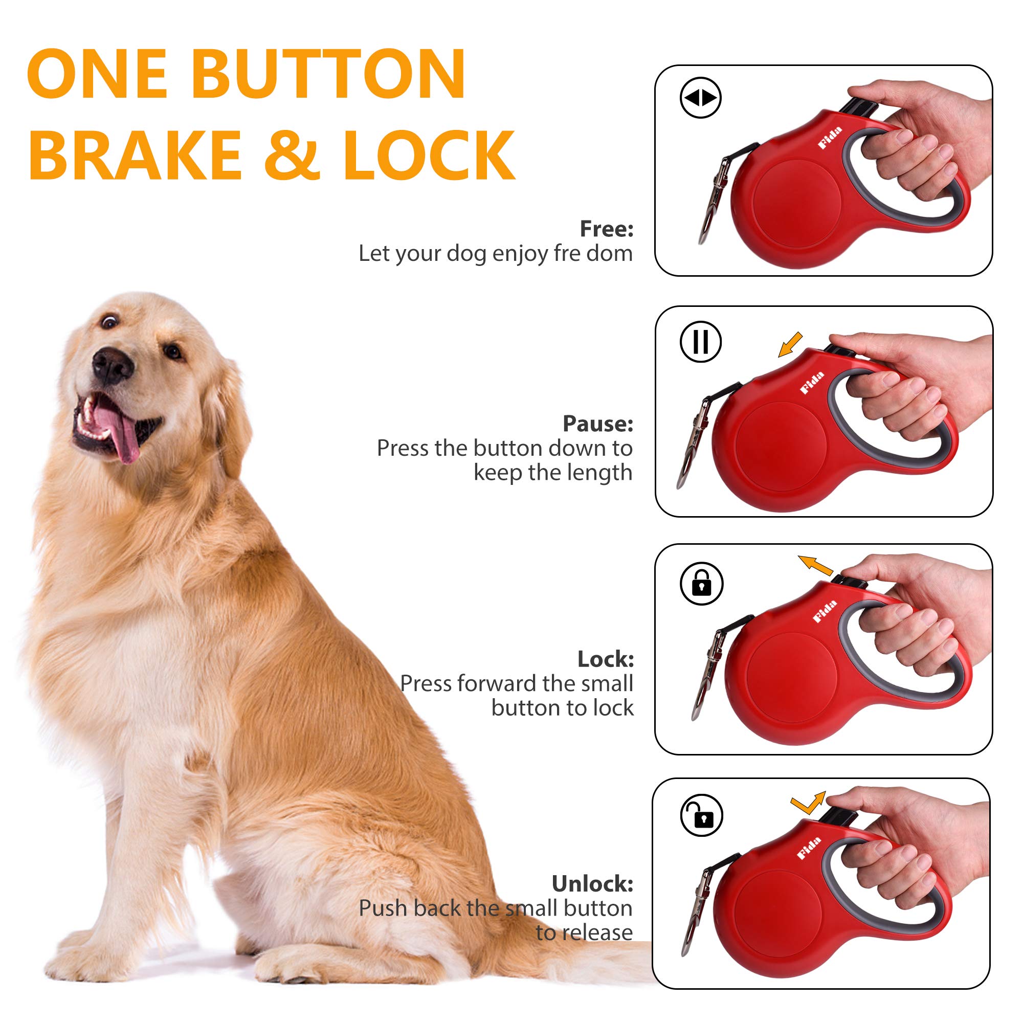 Fida reflective leash tape enhances visibility during dawn walks