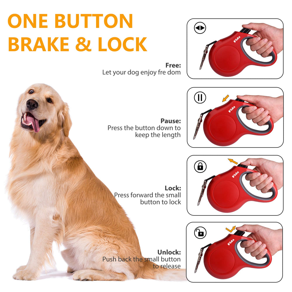 Fida reflective leash tape enhances visibility during dawn walks