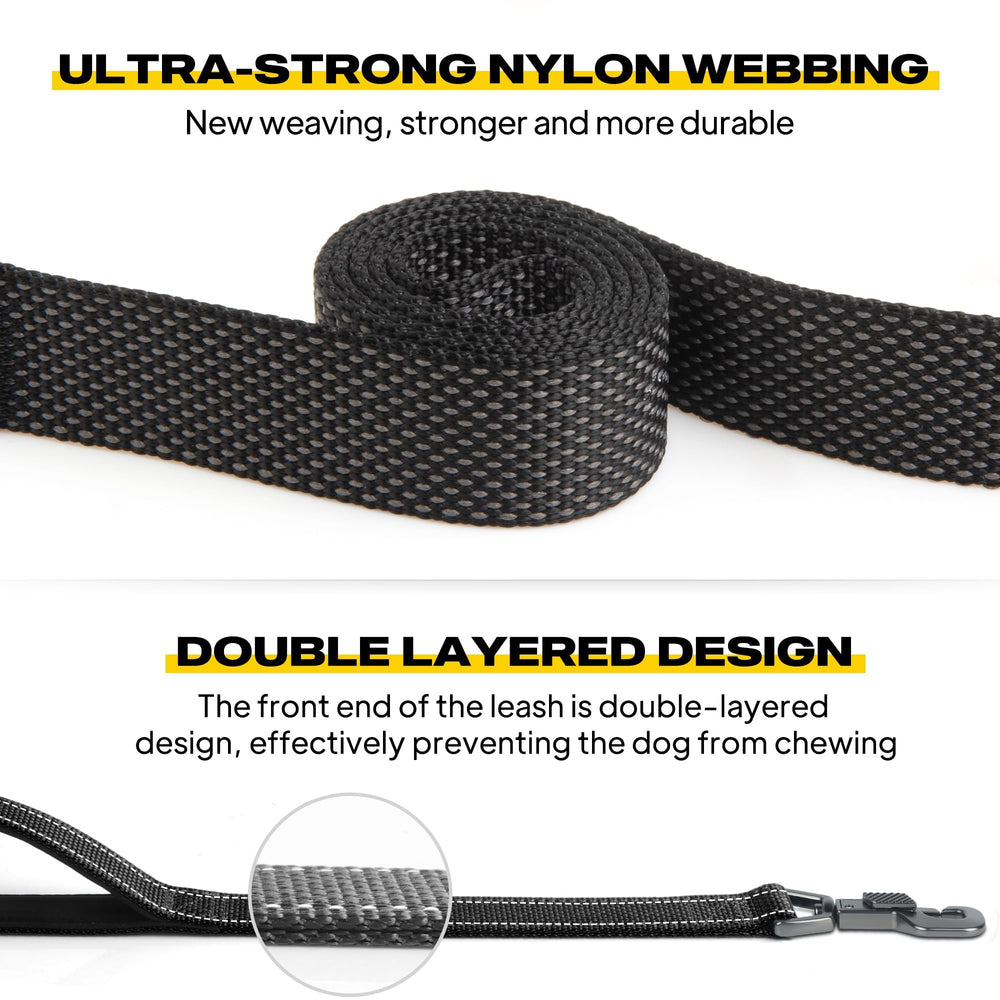 Fida reflective night leash visible on low-light strolls