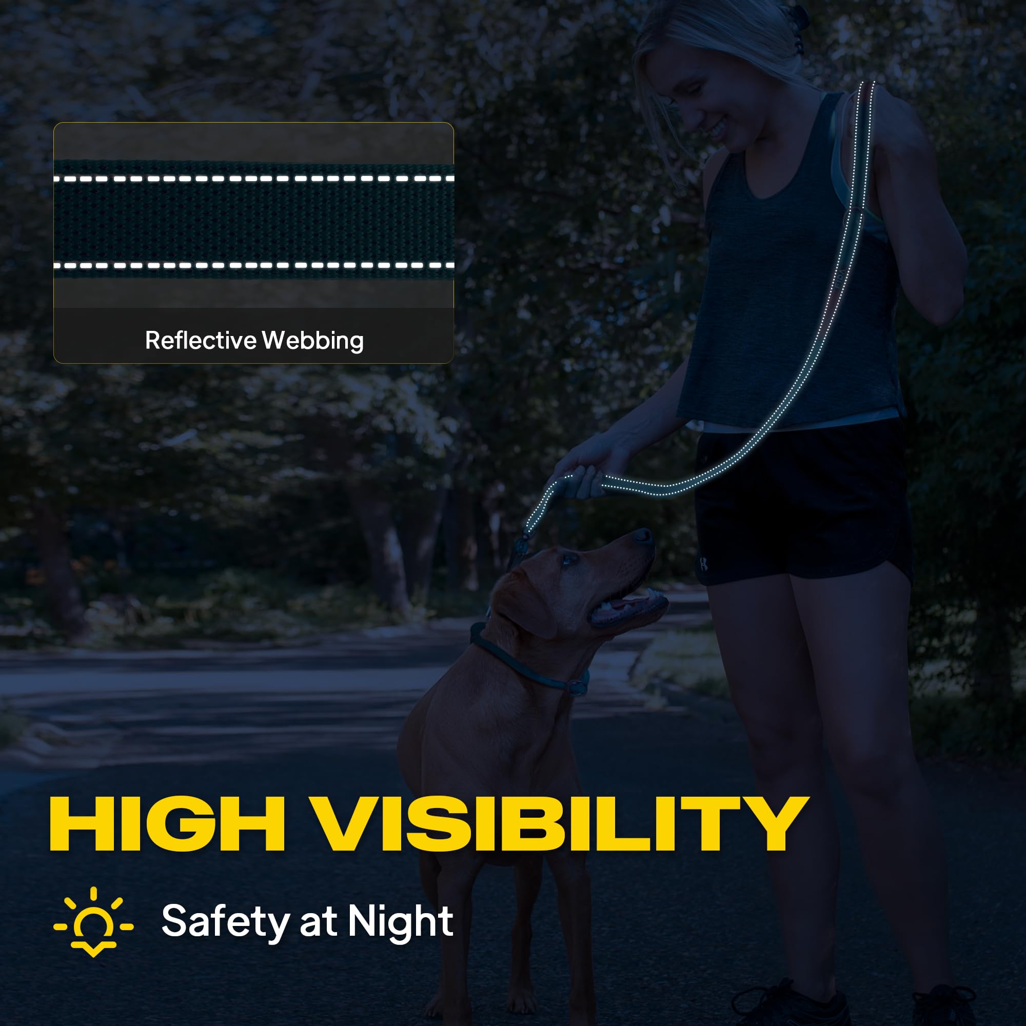 Fida reflective stitching keeps dogs visible on night walks.
