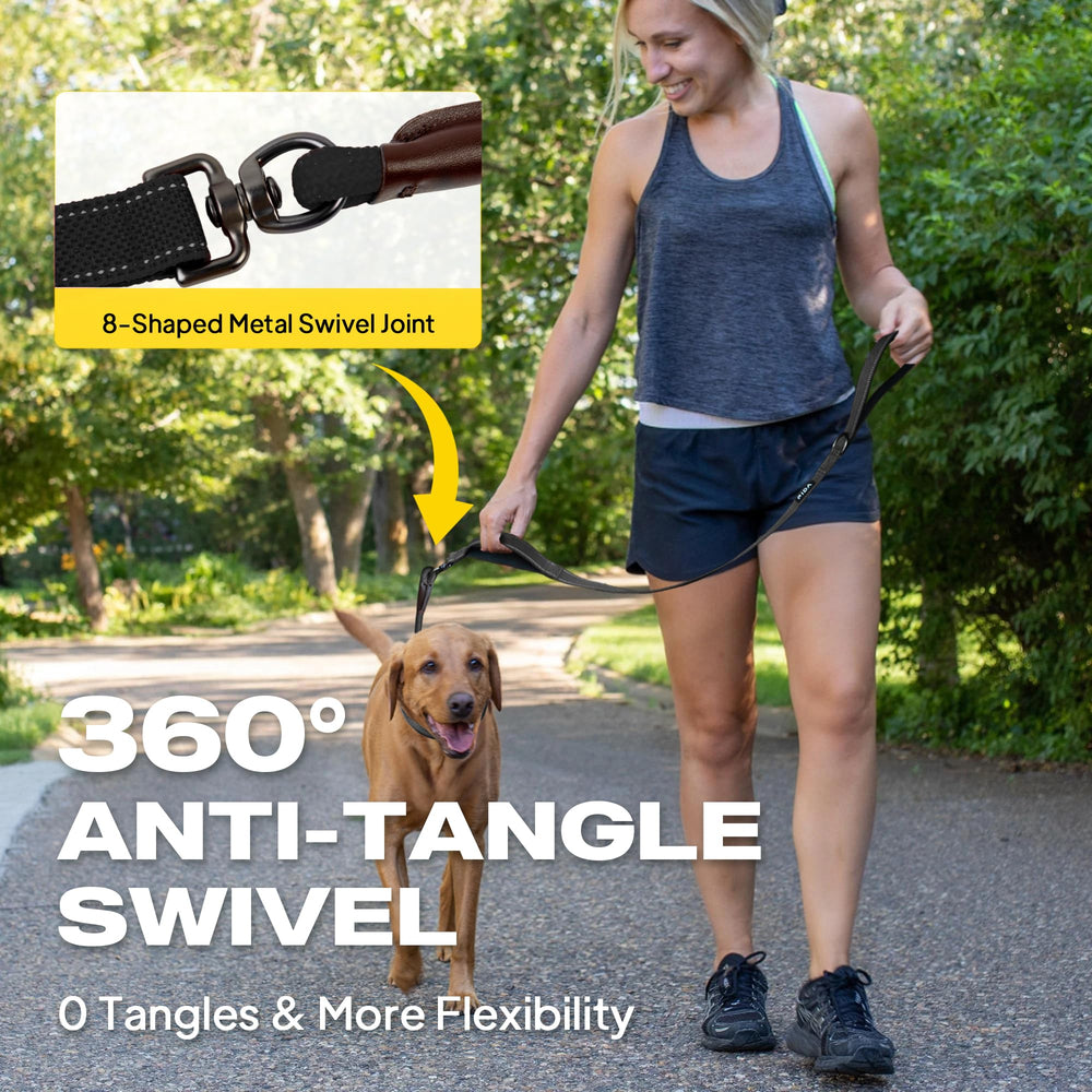 Fida reflective stitching keeps dogs visible on night strolls.