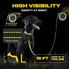 Fida leash shows reflective stitching for improved visibility in dim environments