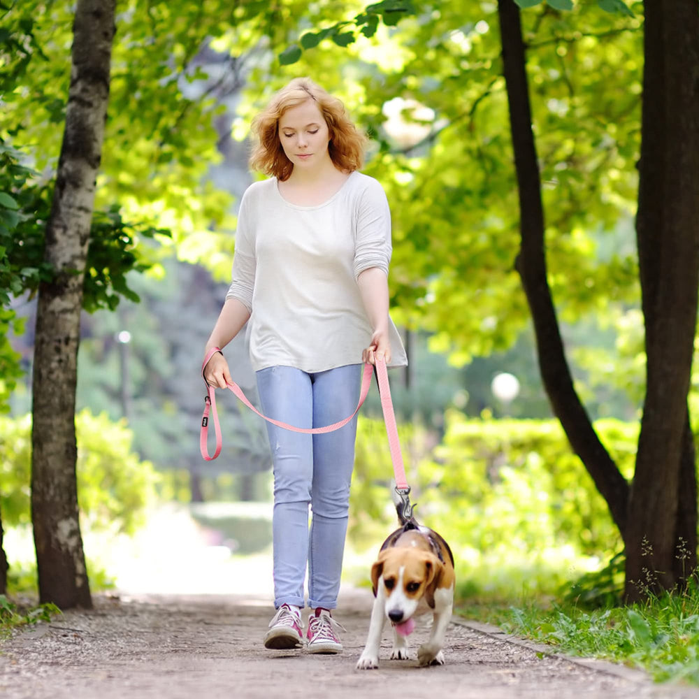 Fida leash with satisfaction guarantee and helpful support