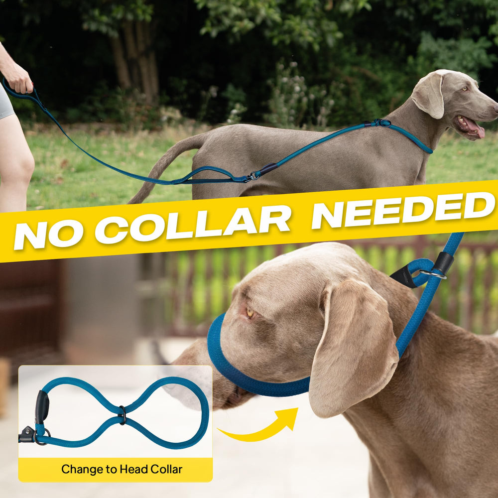 Fida slip lead converts to head collar for quick training transitions.