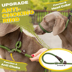 Fida slip lead reflective safety for night walks