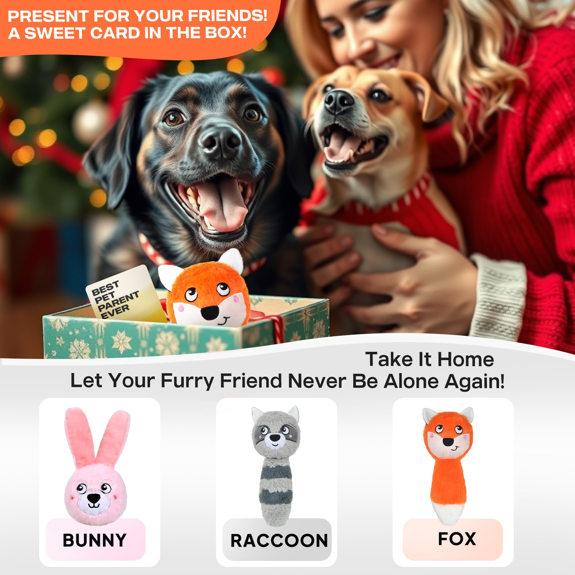 Fida gift-ready package includes greeting card for dog lovers