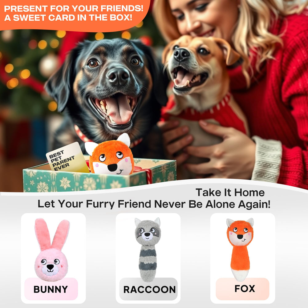 Fida gift-ready package includes greeting card for dog lovers