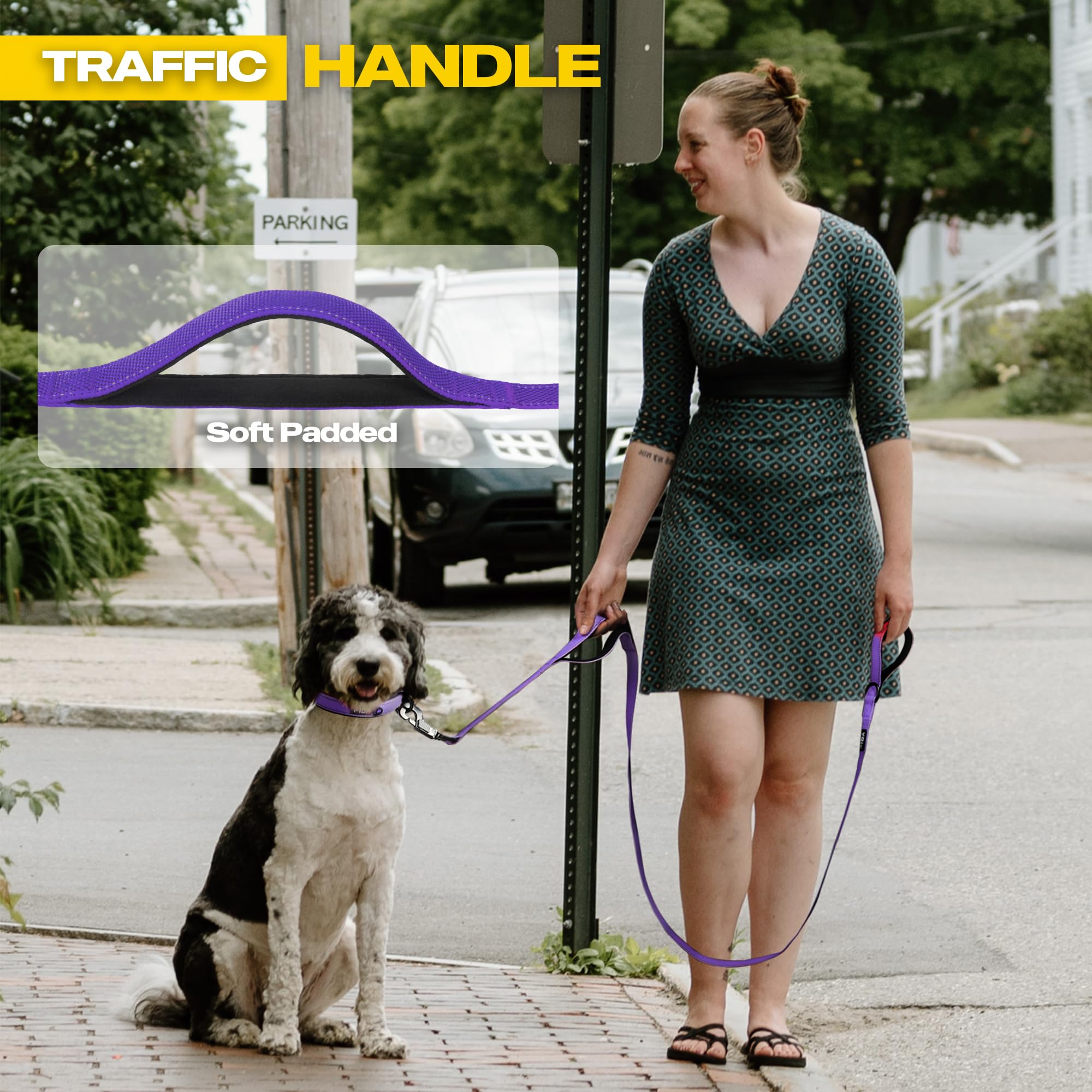 Fida strong nylon leash built for daily use and reliability.