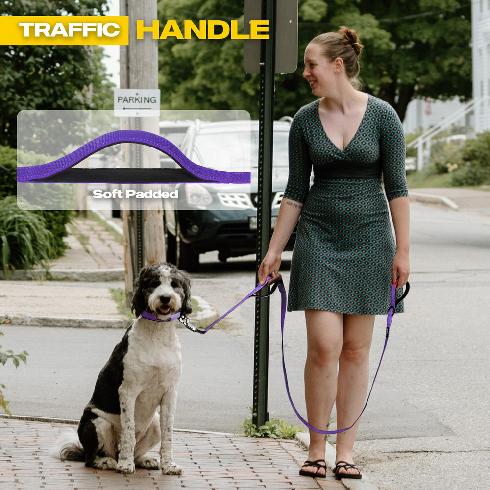 Fida strong nylon leash built for daily use and reliability.
