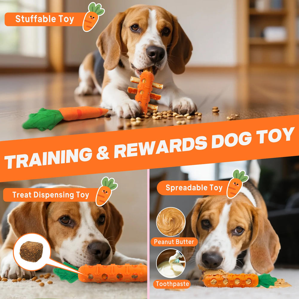 Fida dog-chewing image shows safe texture and chewing durability