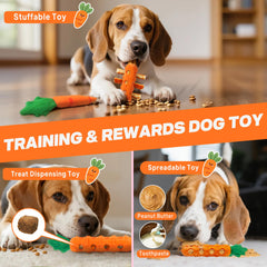 Fida dog-chewing image shows safe texture and chewing durability
