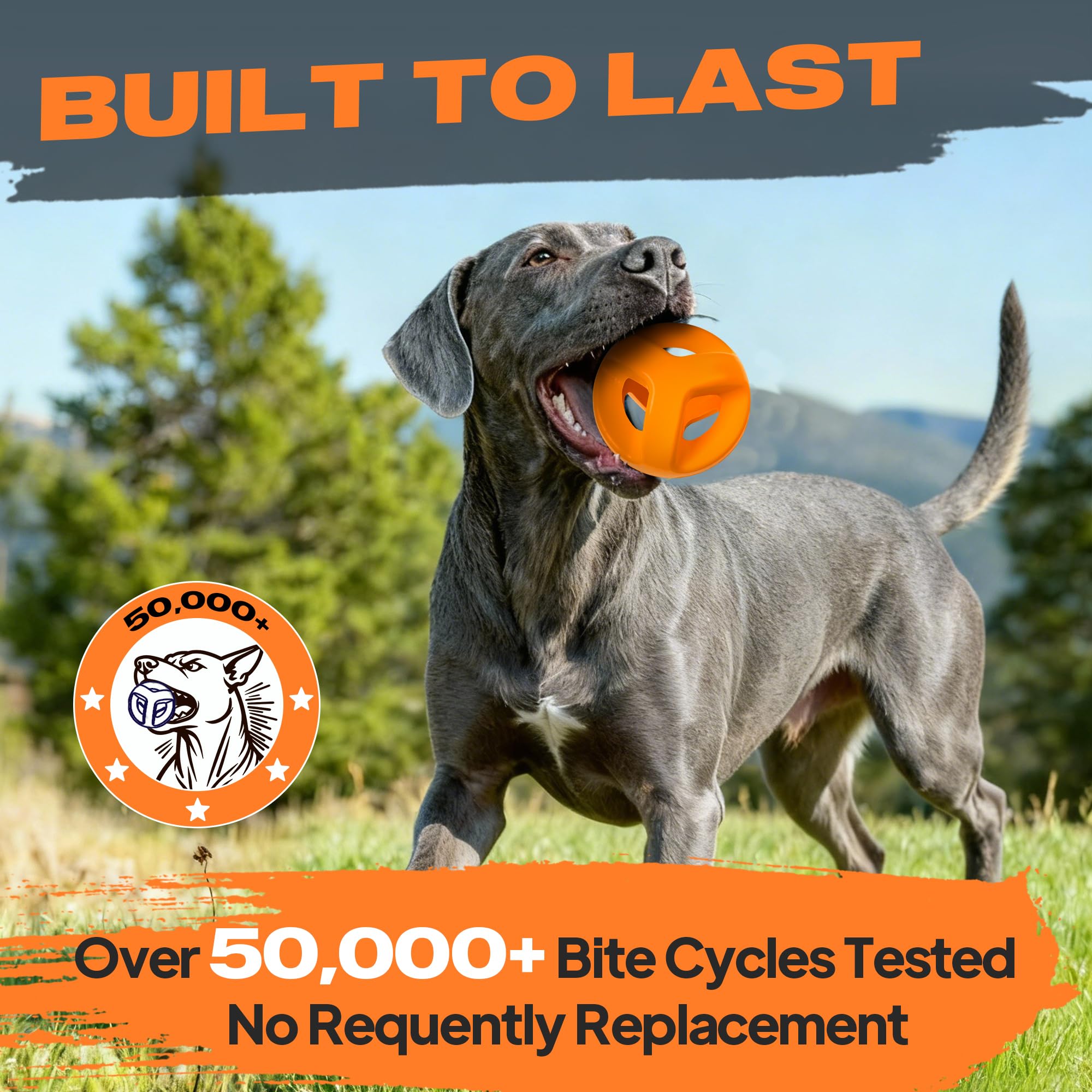 Fida textured rubber toy cleans teeth and massages gums during chewing.