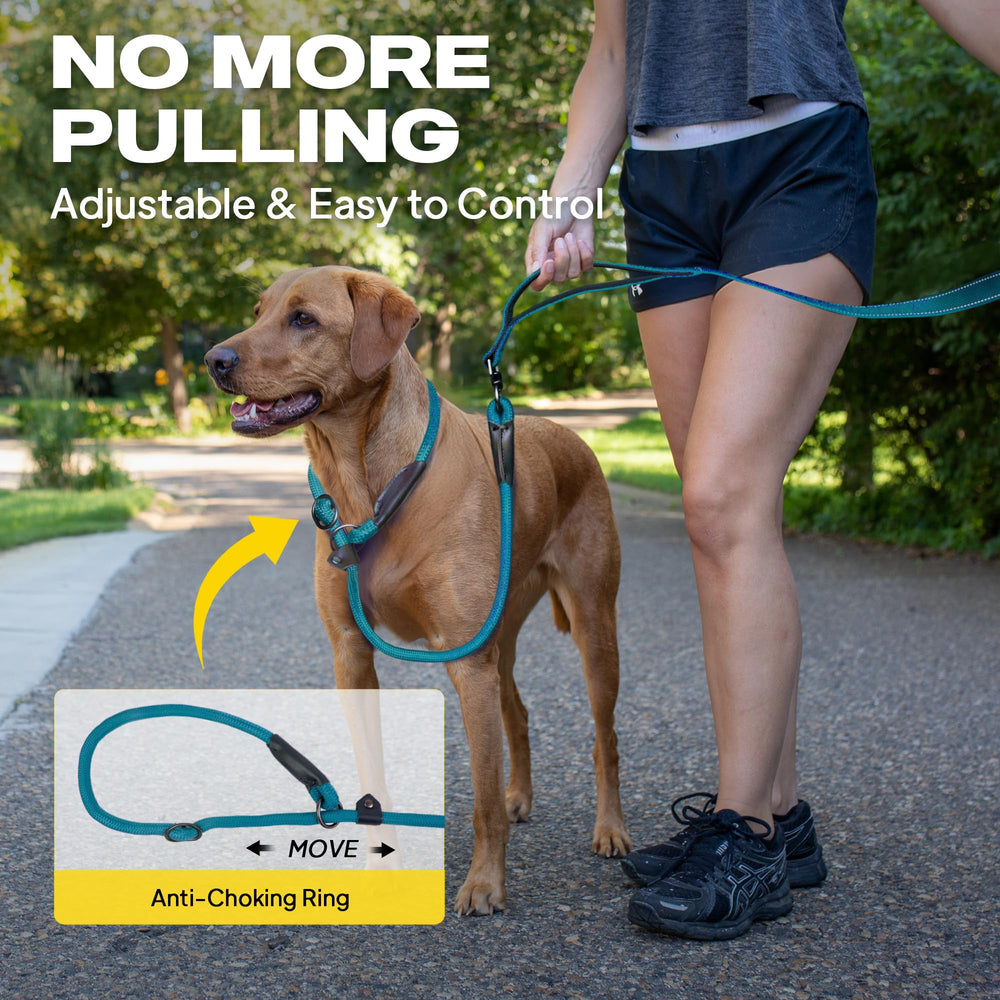Fida thicker no-pull training lead helps manage strong pullers.