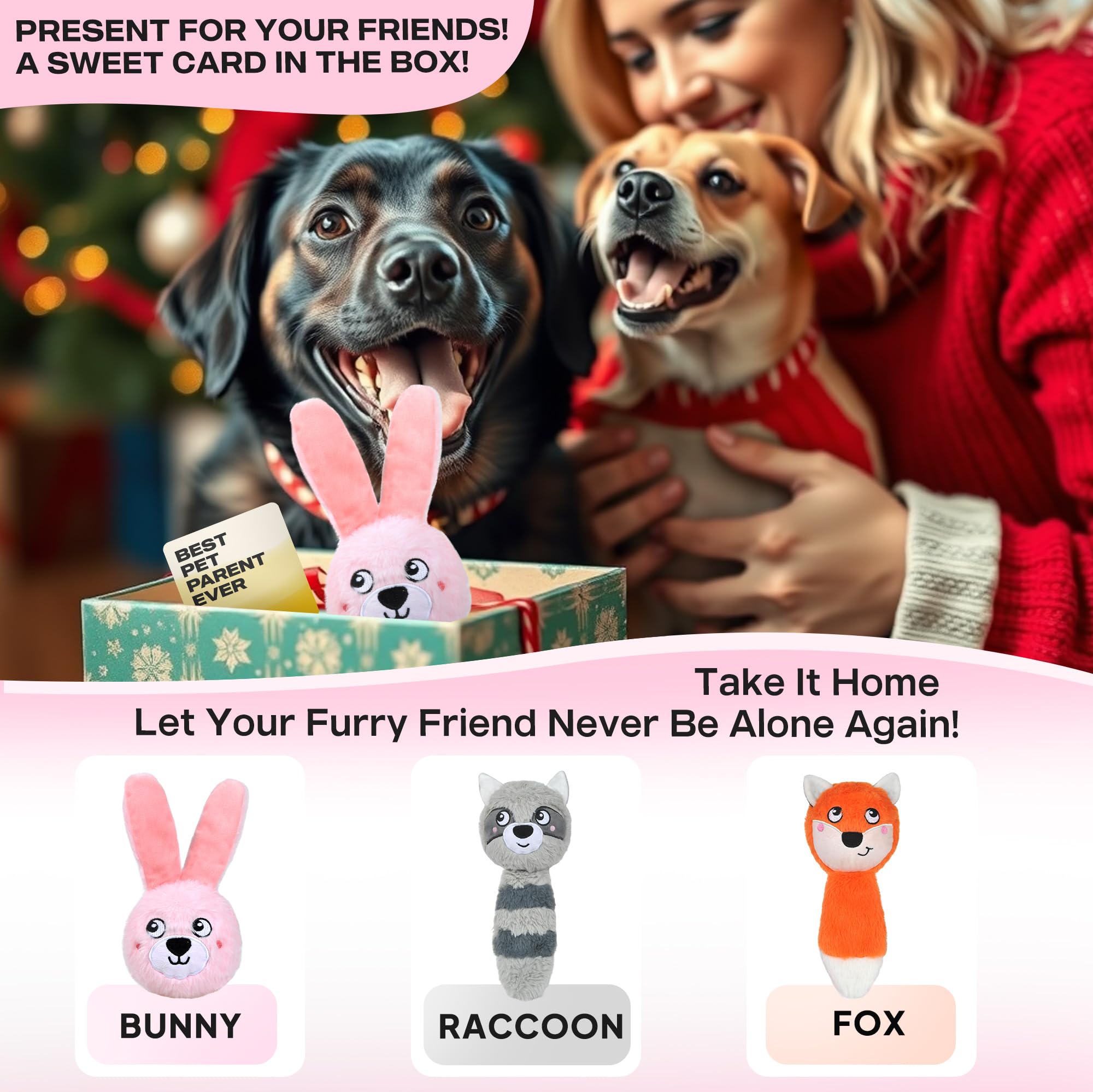 Fida dog toy includes greeting card for gifting to dog lovers
