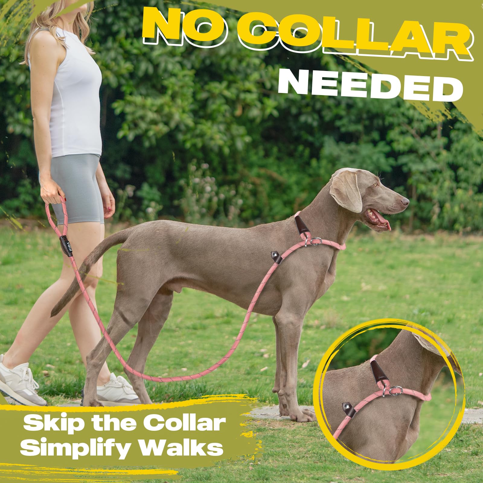 Slip-leash training in action with anti-choke ring for safety