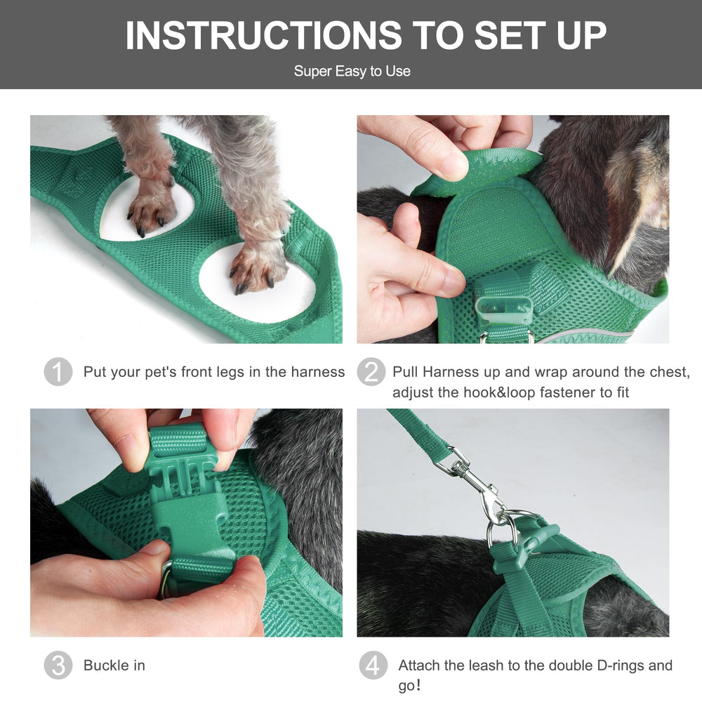 Fida walking set with green harness and leash for secure outdoor adventures.
