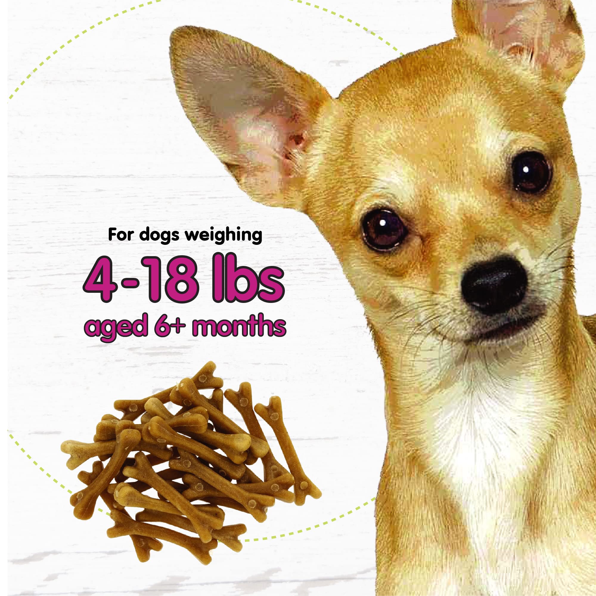 Digestive-support ingredients close-up emphasizing prebiotic and probiotic benefits for gut comfort.