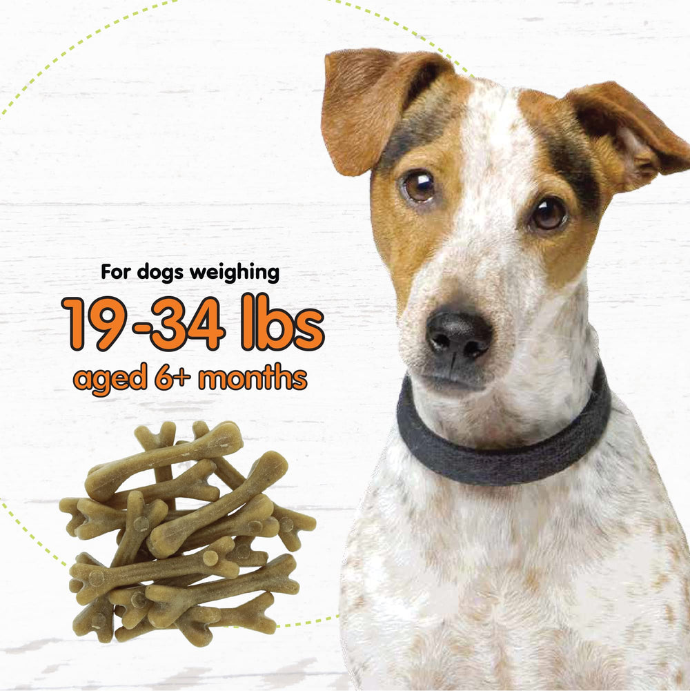 Dogs enjoy Fido dental bones that help freshen breath during regular chewing