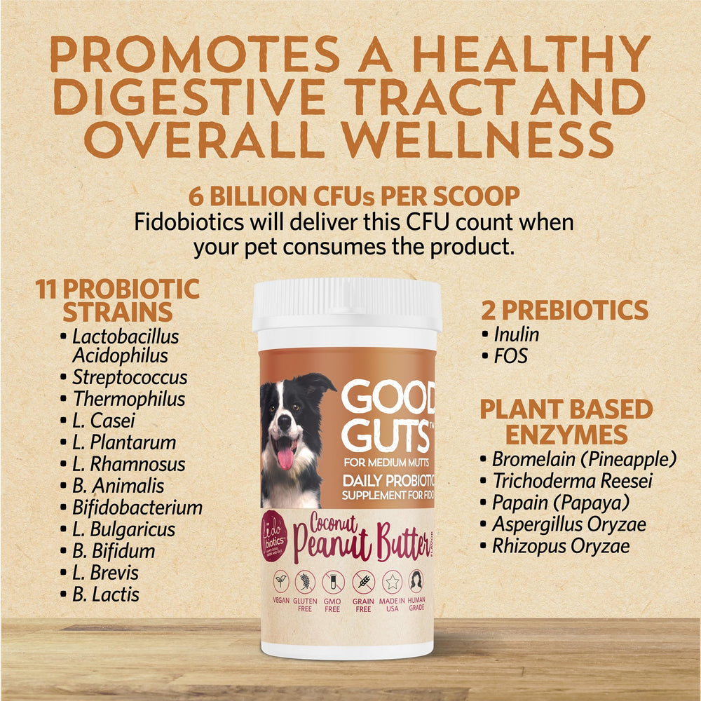 Fidobiotics Good Guts supports immune health via gut balance