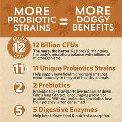 Fidobiotics Good Guts packaging graphic highlights 11 strains.