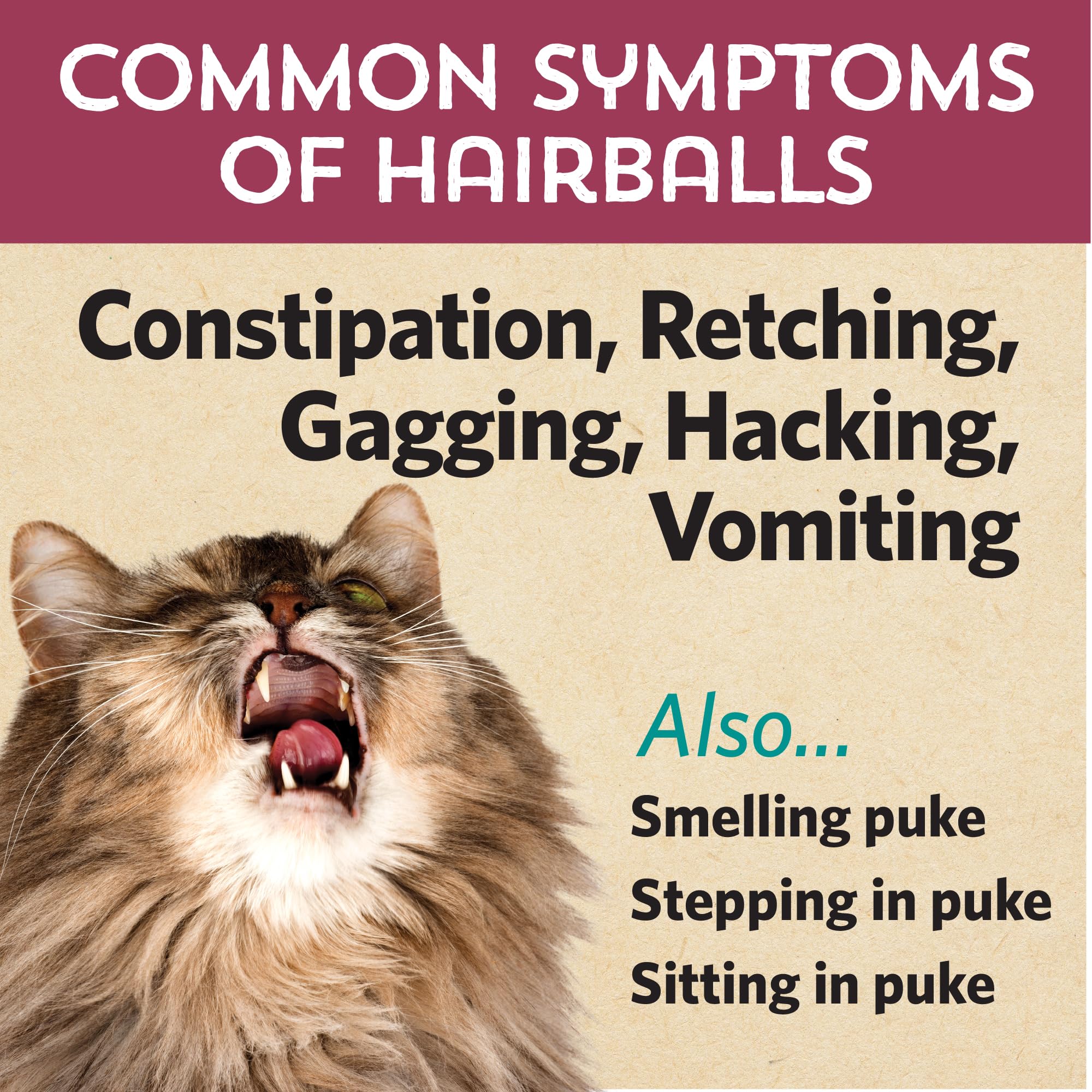 Fidobiotics Hairball Buster NASC Quality Seal label.