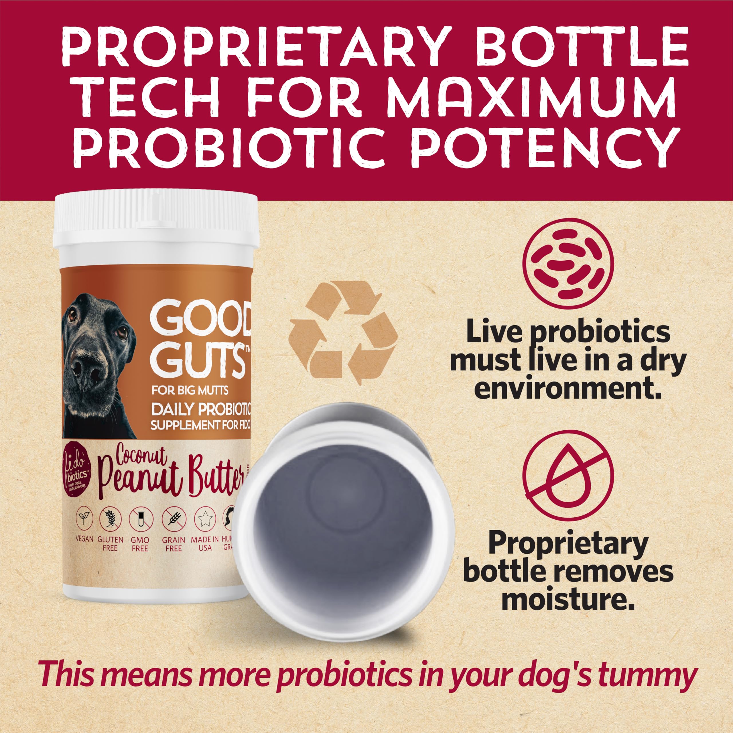 Fidobiotics shelf-stable probiotic bottle at room temperature.