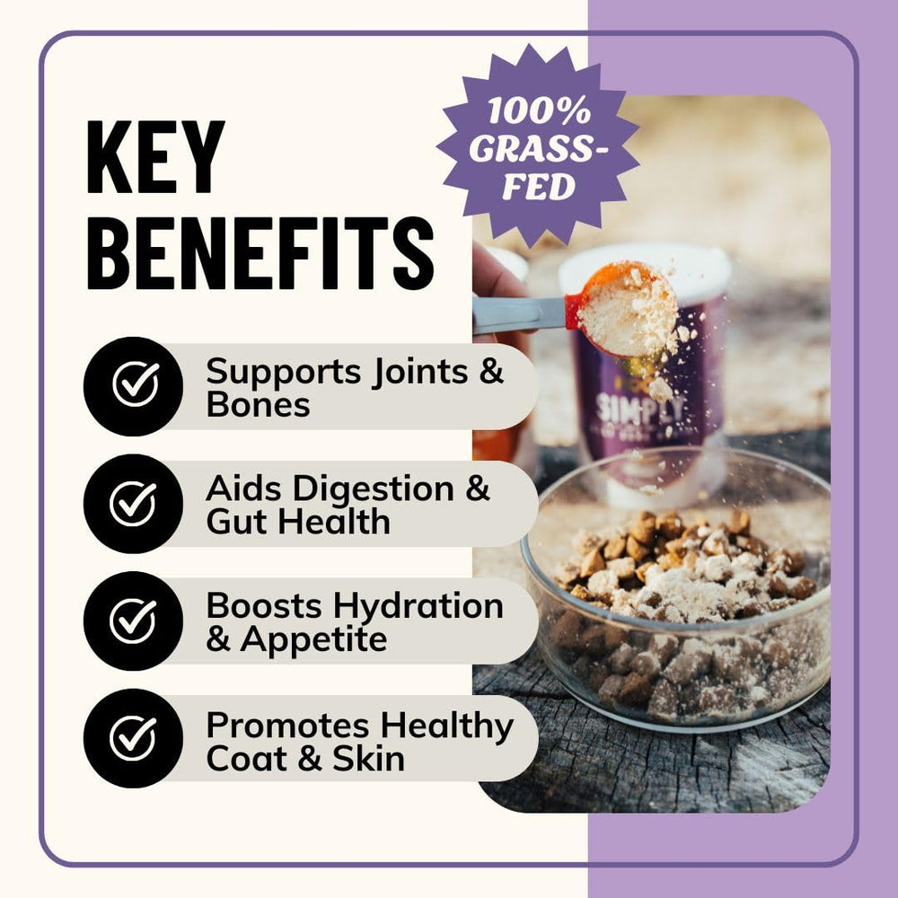 Fido's bone broth powder scoop shows simple measurement for daily nutrition.